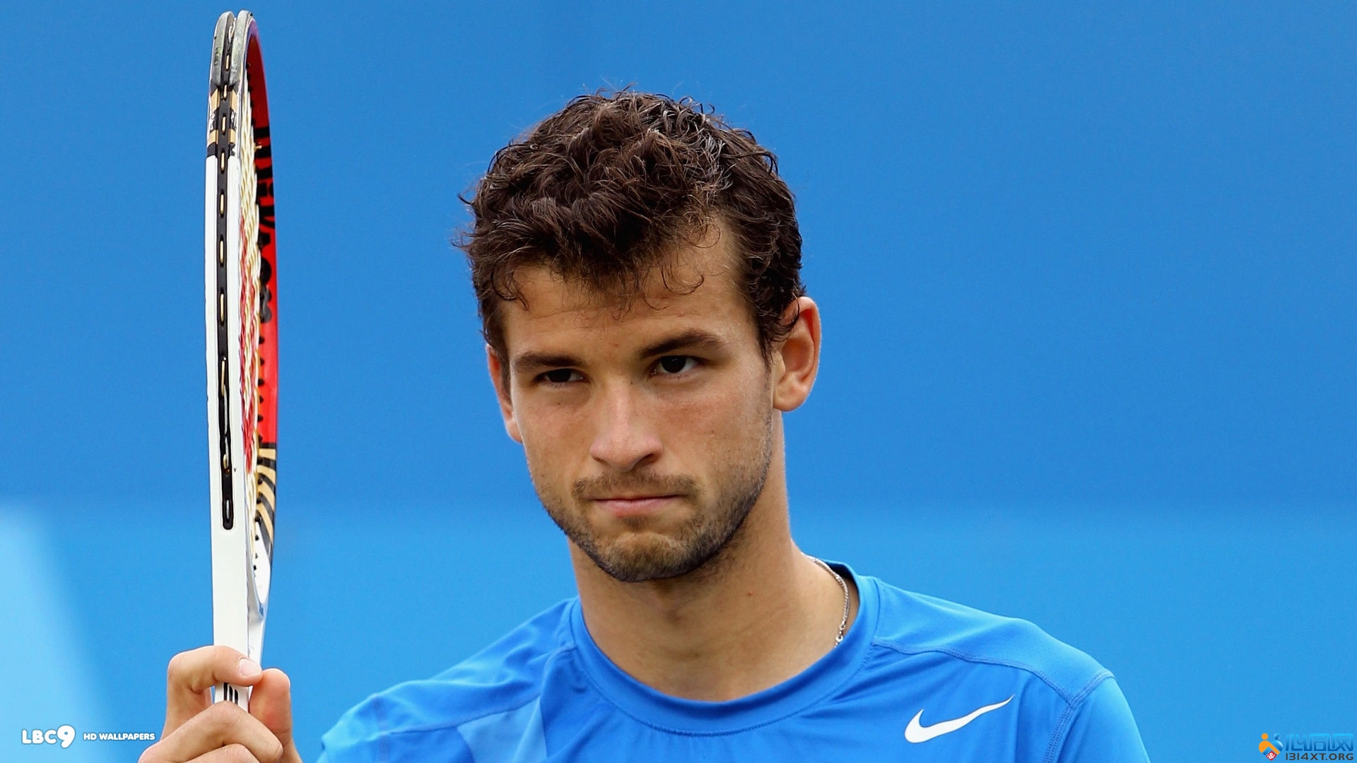 提供了有力 提供了有力